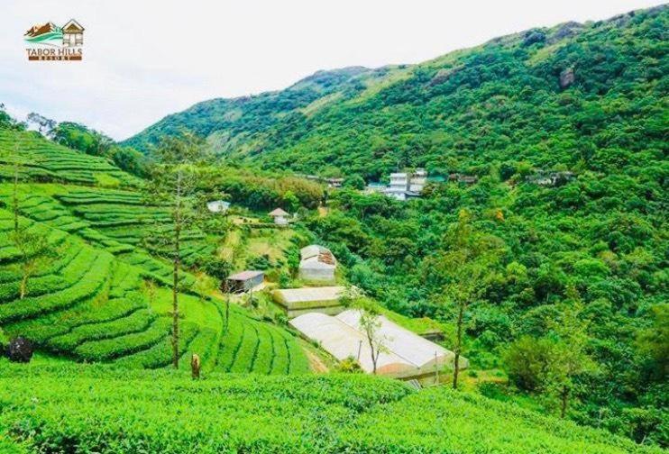 Tabor Hills Resort فاغامون المظهر الخارجي الصورة